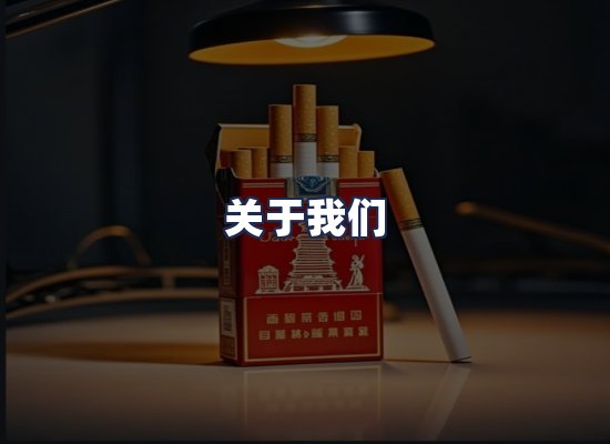 关于我们